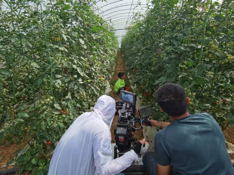 江孜县产品宣传视频拍摄公司进阶指南，助力品牌抢占传播高地